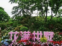 -大关公园