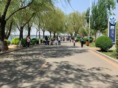 -丁香湖公园