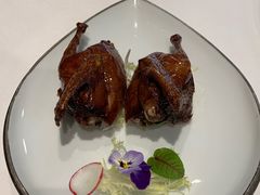 茶皇烟熏鸽-伯衡55·吉品轩(乌鲁木齐南路店)