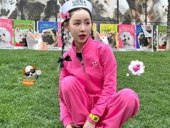 -WHEN PIGS FLY当猪飞