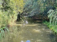 -溱湖国家湿地公园