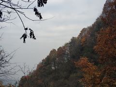 -王顺山国家森林公园
