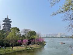 -洋湖国家湿地公园