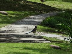 -苏州河梦清园环保主题公园