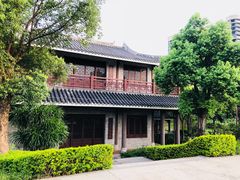 -大亚湾红树林城市湿地公园