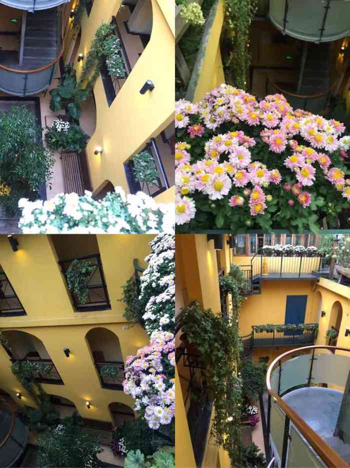 柳湖小筑餐厅-"环境上被中间的天井惊艳到了,特别想住一晚.