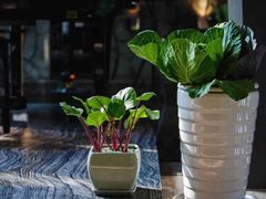 -茅庐·川粤精品私房菜(金沙遗址店)