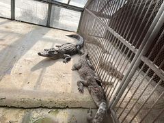 -秦皇岛野生动物园