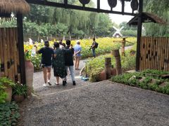 -圩墩遗址公园