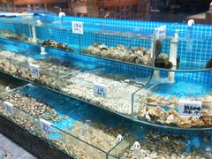 -晓伟海鲜家常菜