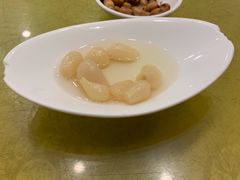 -鸿达渔港