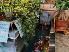 -洞庭家宴·头牌甲鱼(广渠门店)