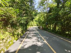 -西双版纳原始森林公园