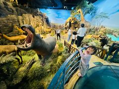 -陕西自然博物馆