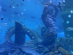-哈尔滨波塞冬海底世界