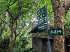 -紫金山山顶公园