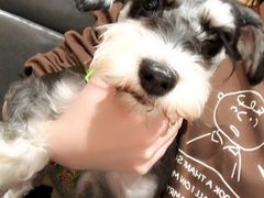 -焯牛潮汕牛肉火锅(云峰街创始店)
