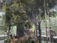 -国家自然博物馆