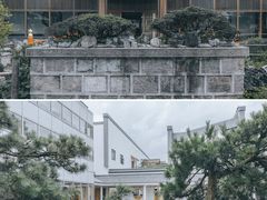 -东方艺术博物馆