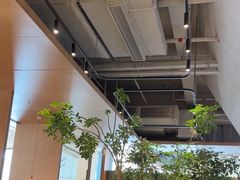 -gaga(深圳福田星河COCO Park店)