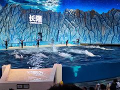 -珠海长隆海洋王国