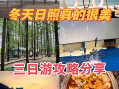 -渡海小渔村.老辈日照菜