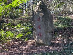 -上海佘山国家森林公园天马山园