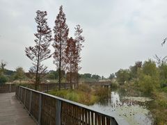 -桂溪生态公园