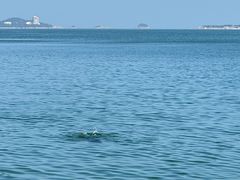 -威海大水泊国际机场