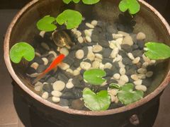 -曲水兰亭(北京四惠店)