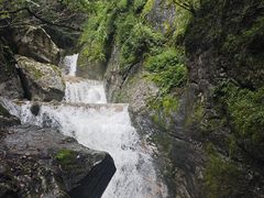 -牛背梁国家森林公园