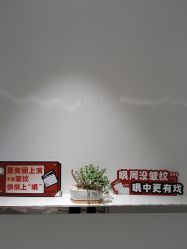 -AiCure 埃可儿·韩国医学皮肤管理