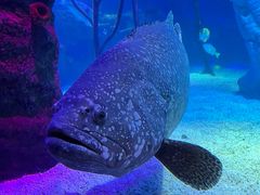 -沈阳海洋探索中心