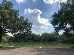 -西溪国家湿地公园