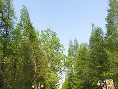 -日照海滨国家森林公园