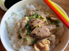-憶廟街 X 沙角邨(太古城店)