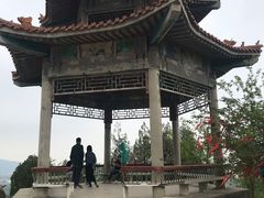 -白水寺森林公园