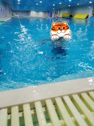 -子木乐园婴儿游泳馆(水晶港店)