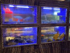 -院里寻菜·精致庭院菜(观沙岭店)