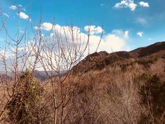 -阳台山自然风景区