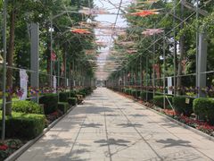 -南宫五洲植物乐园