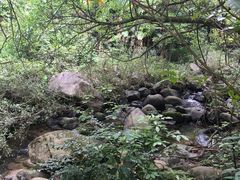 -广州市石门国家森林公园