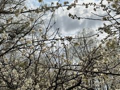 -贵阳市花溪国家城市湿地公园