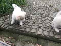 -九华山风景区月身宝殿