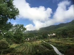 -塔川景区