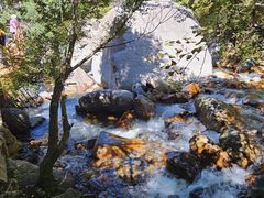 -小五台金河景区