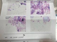 -屋虎猫馆(宝安大仟里店)
