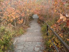-香山公园