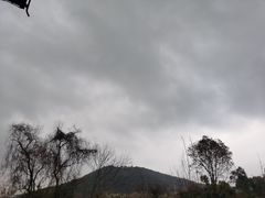 -树山生态村