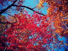 -丹东天桥沟景区